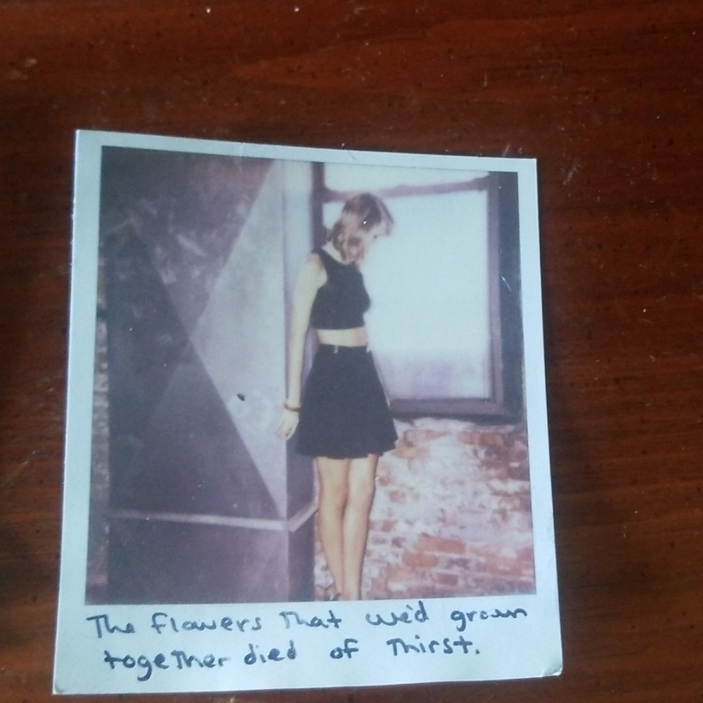 Taylor swift polaroids from a tour a few years ago